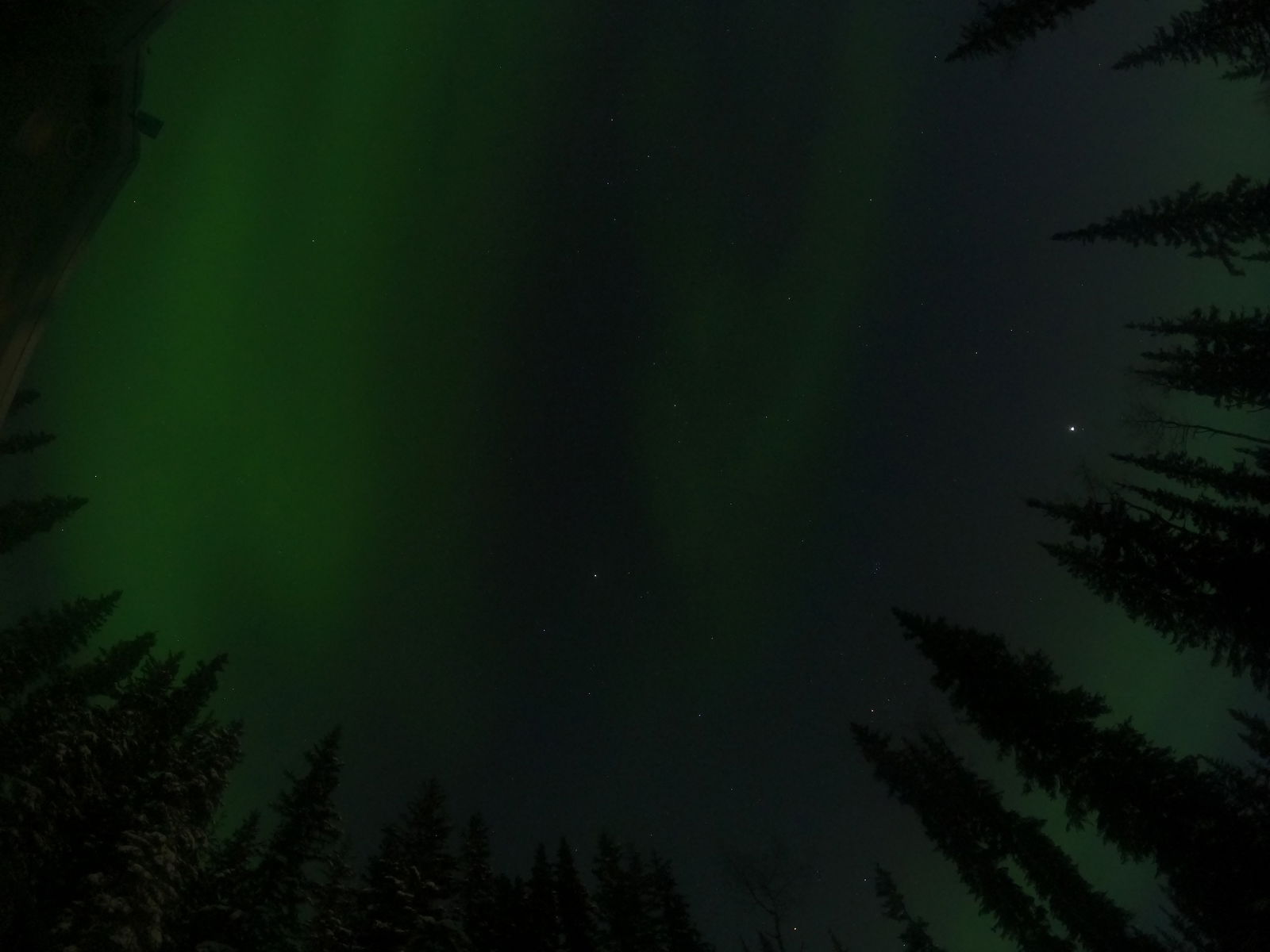Pandora907ak profile banner