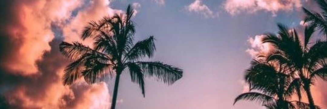 PantyLoverJazlyn💖 profile banner