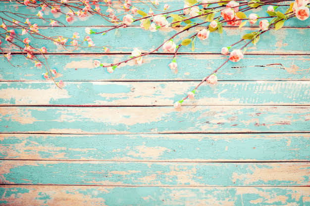Paola profile banner