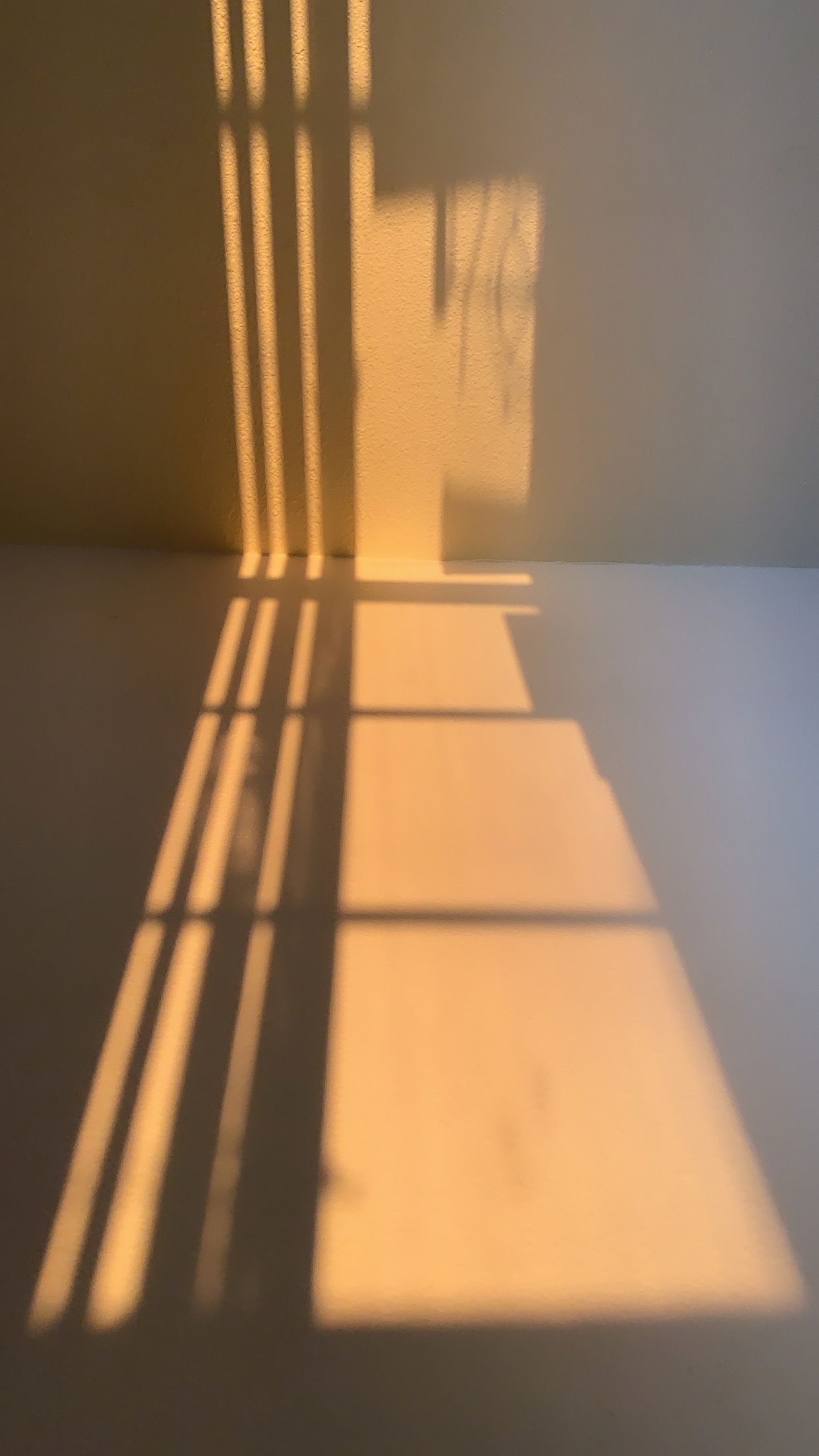Paris Phuong profile banner