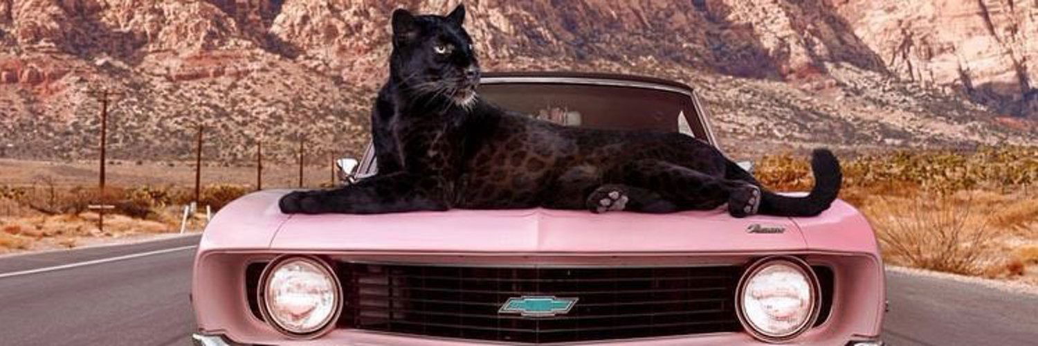 parispleasuresxxx banner