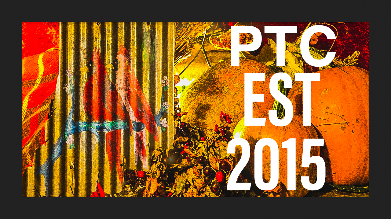 Patina the Cardinal profile banner