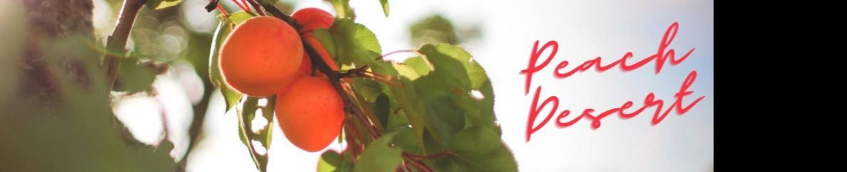 Peach Desert profile banner