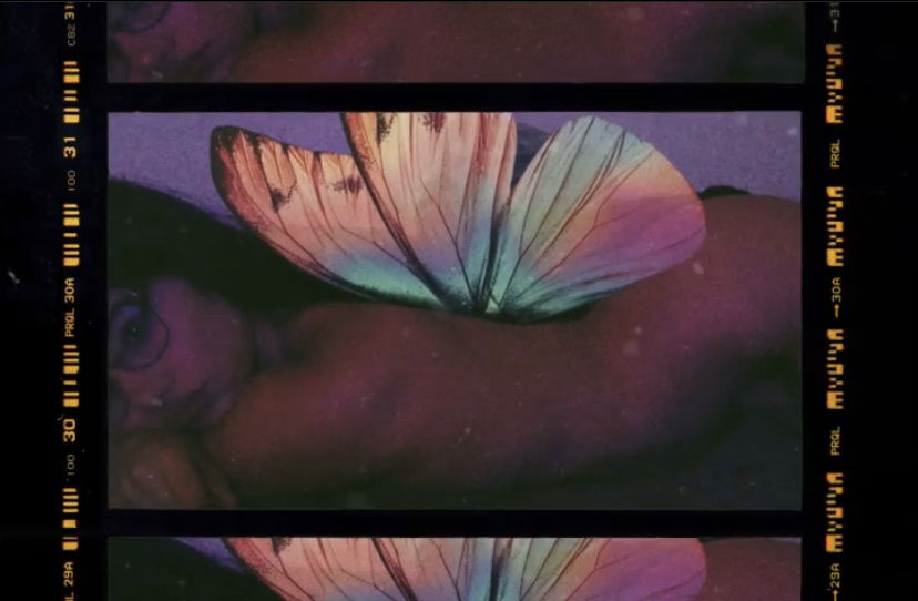fae ♡´・ᴗ・`♡ profile banner