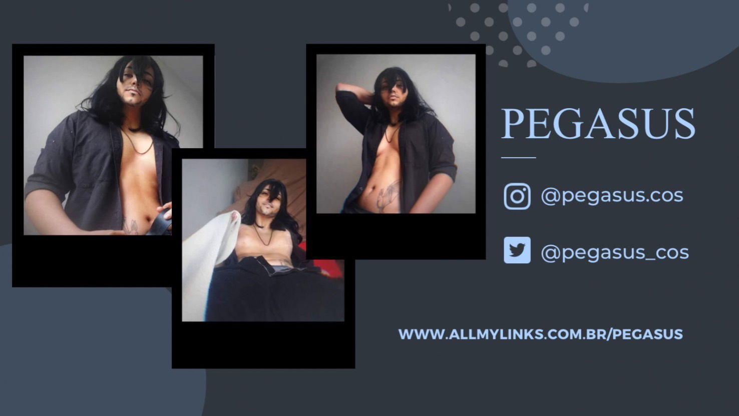 Pegasus profile banner