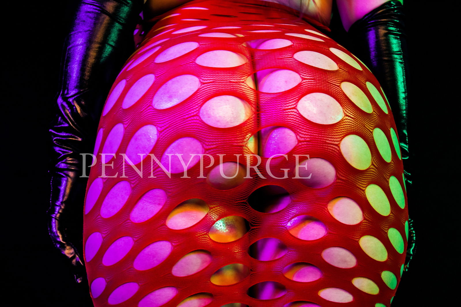 pennypurge banner