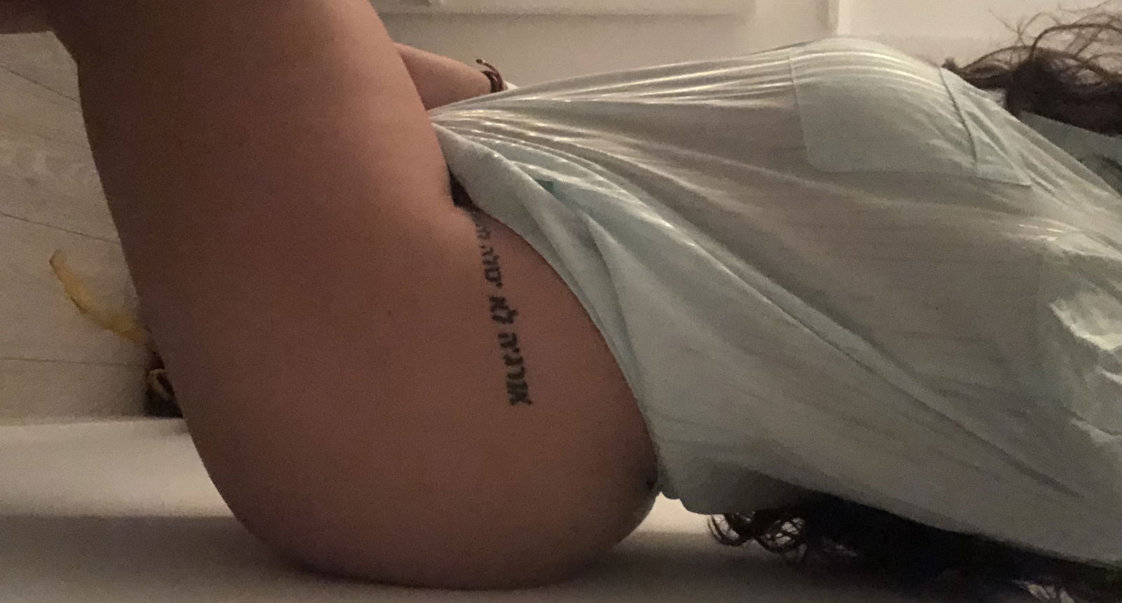 Perky Frenchie profile banner