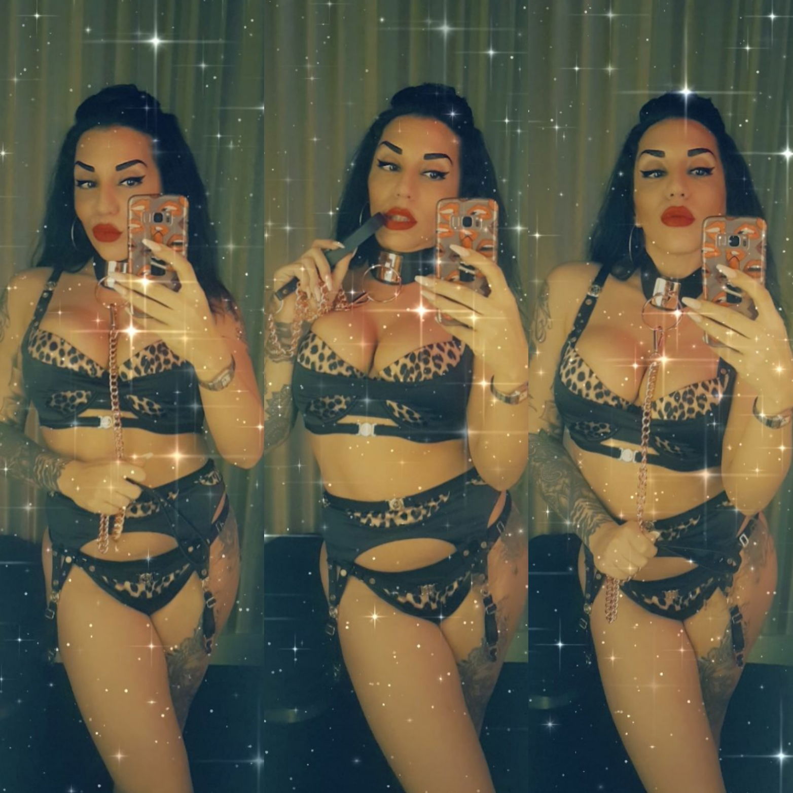 Persianpussycat profile banner