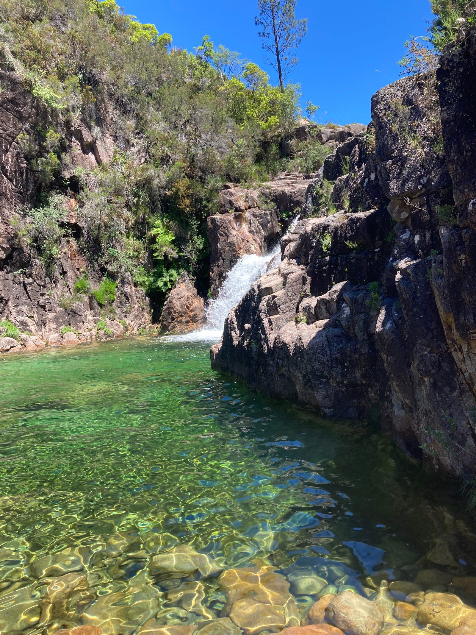 petiteasiantravels banner