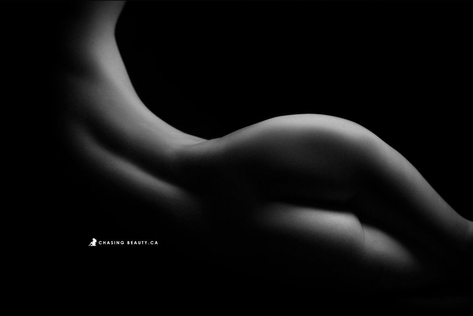 Petite_curvy_canadian profile banner