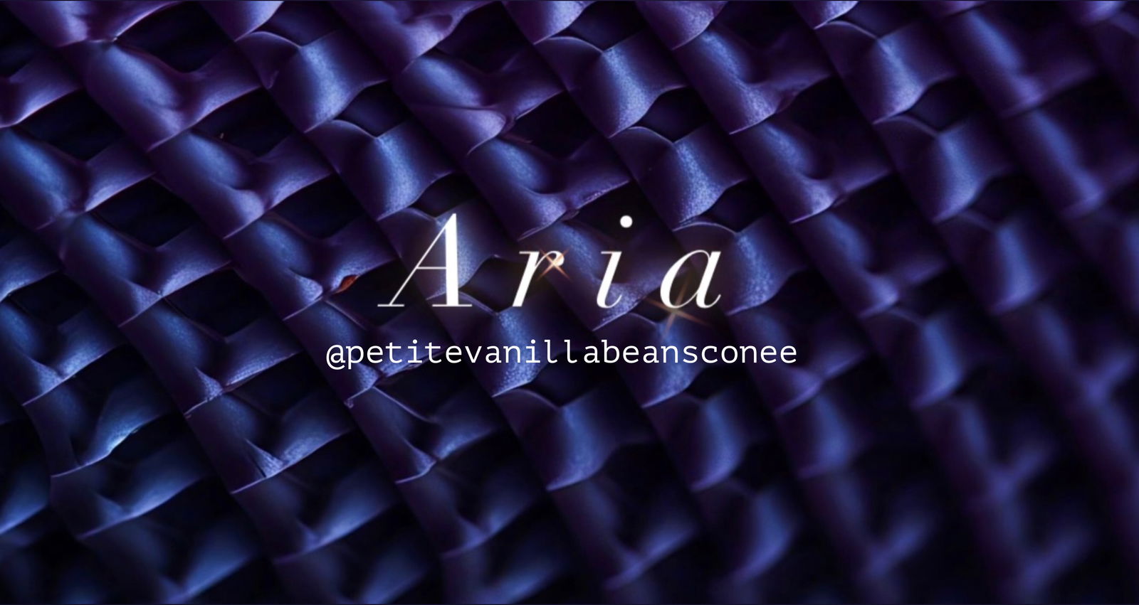 Aria 🖤 profile banner