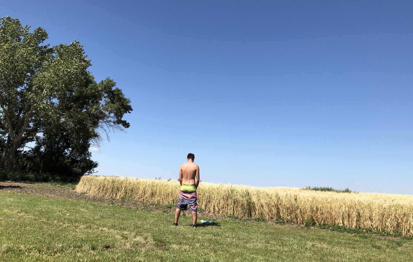 pflanzdaddy profile banner