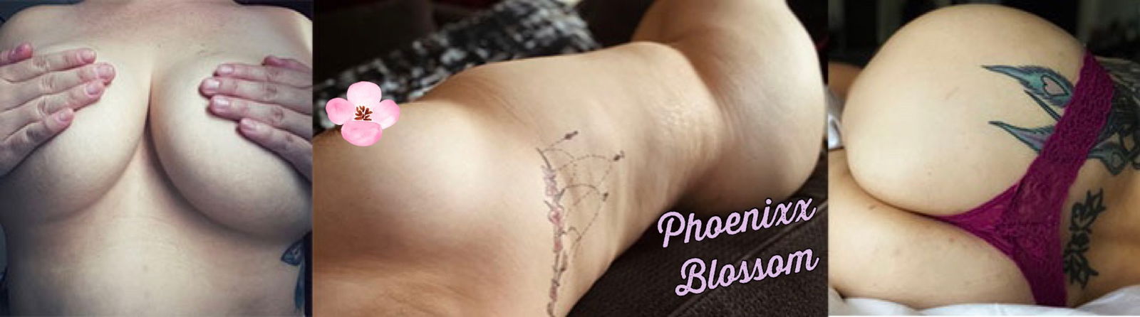 phoenixxblossom banner