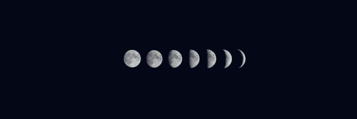 piinecone profile banner