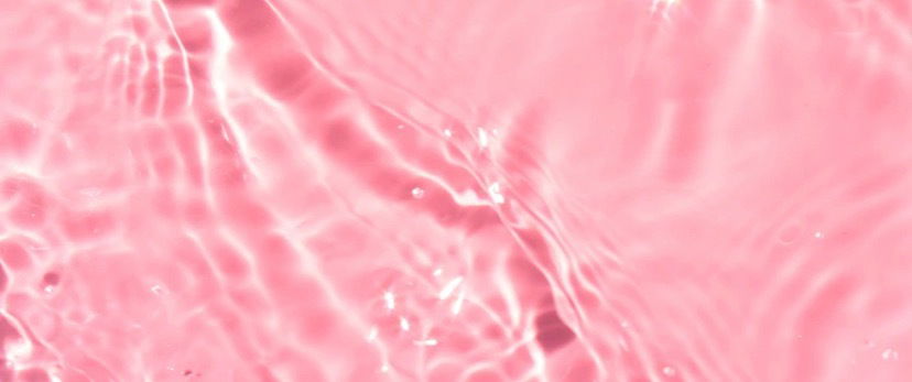 pincess profile banner