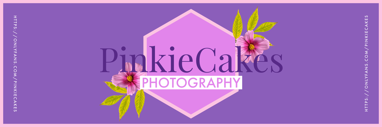 Pinkiecakes profile banner
