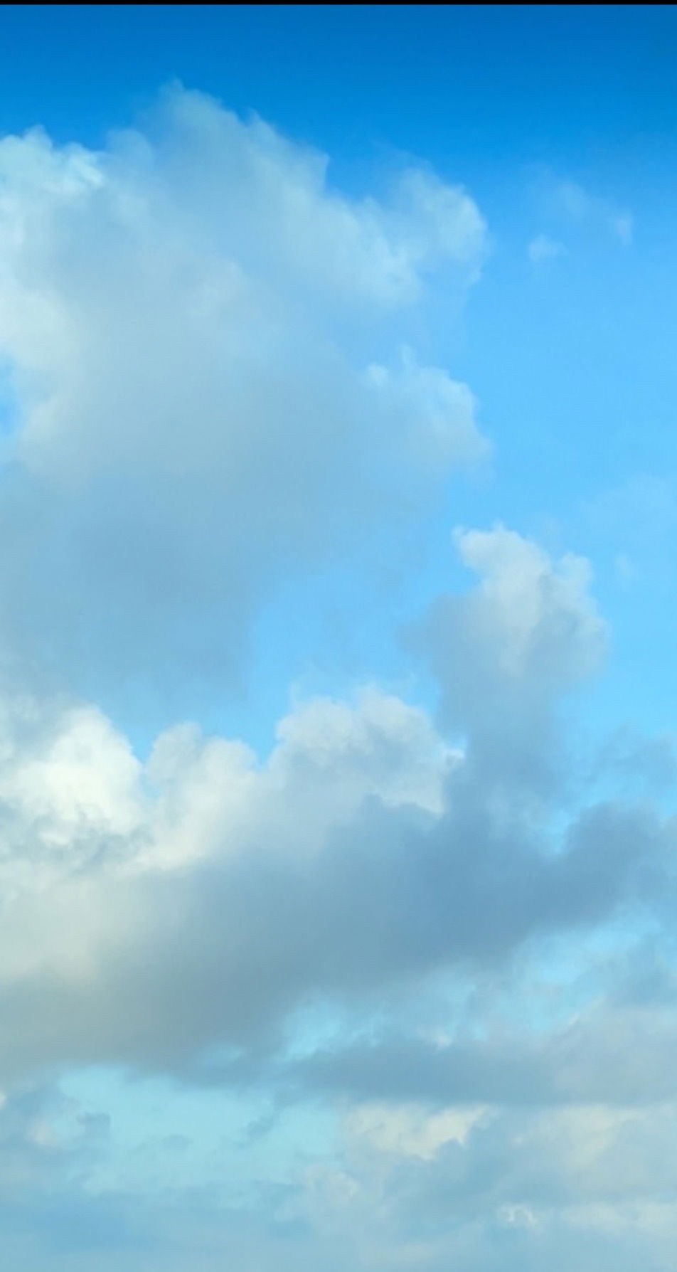 Piper Lane profile banner