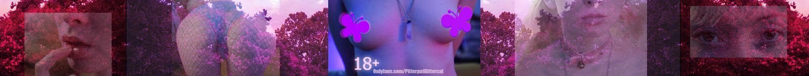 Pitterpat Kittercat profile banner