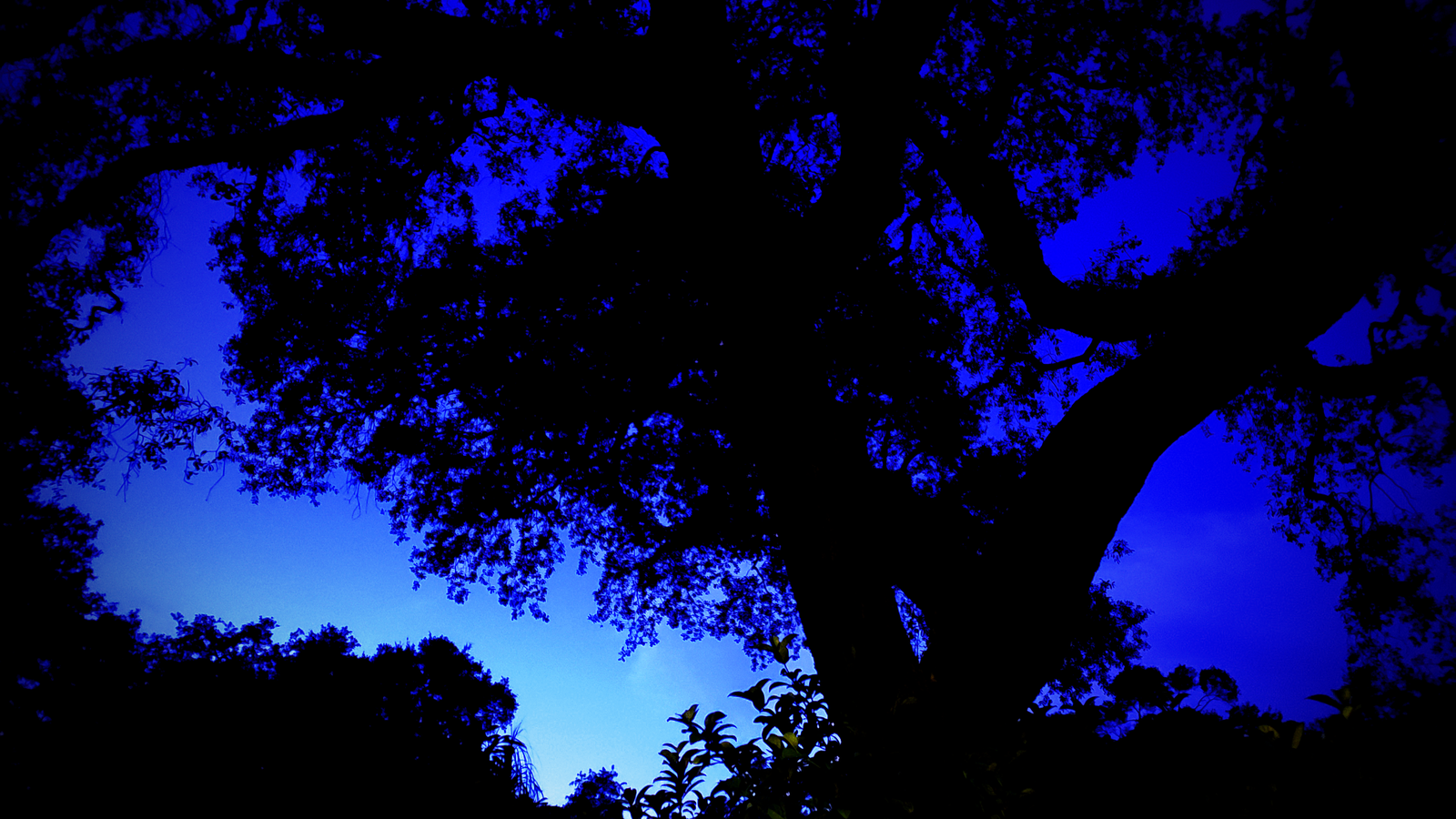 PleasantAme profile banner