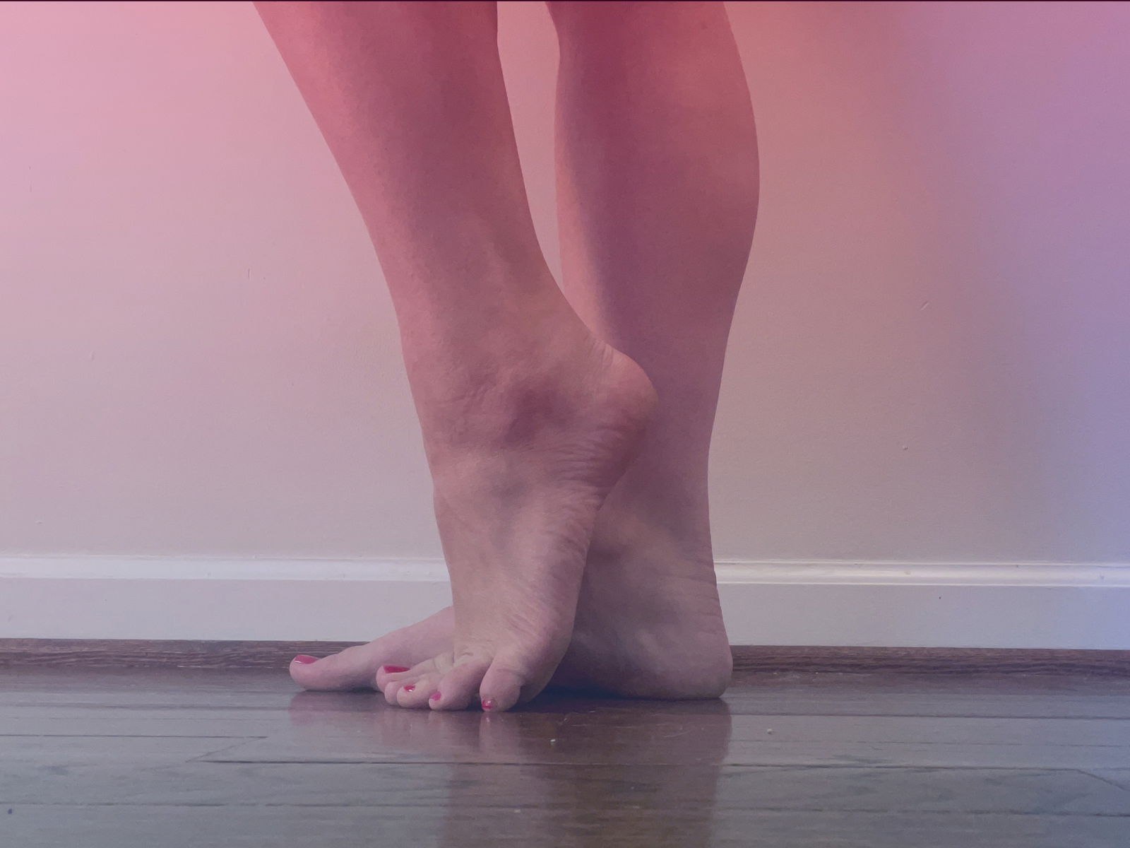 Polina Lynn profile banner