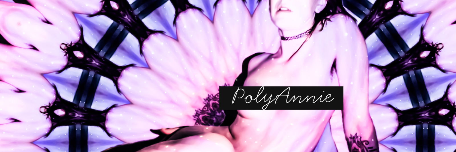 PolyAnnie profile banner