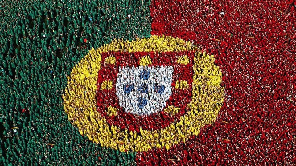 Portuguese Bear profile banner