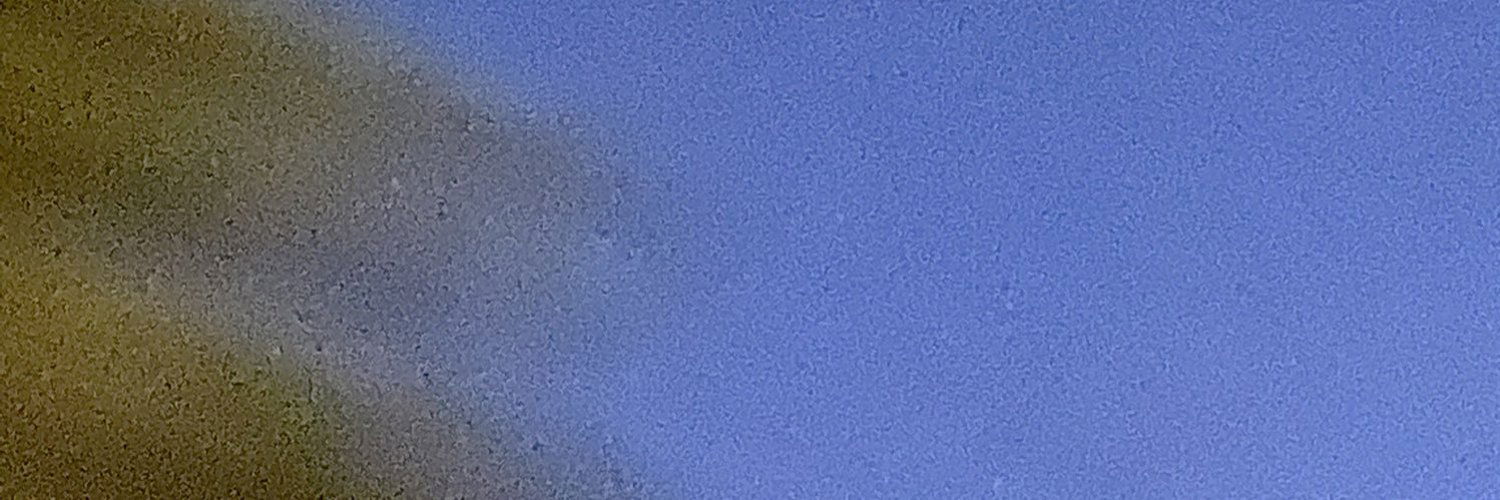 Sav profile banner