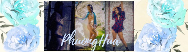 x3_PhượngHuā_x3 profile banner