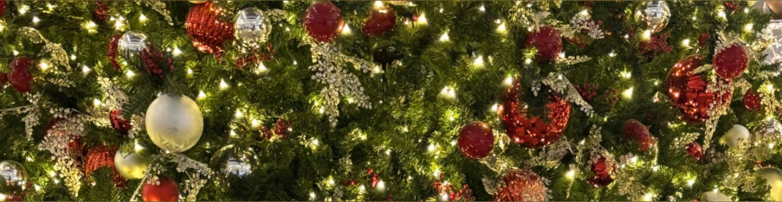 poutprincessxx banner