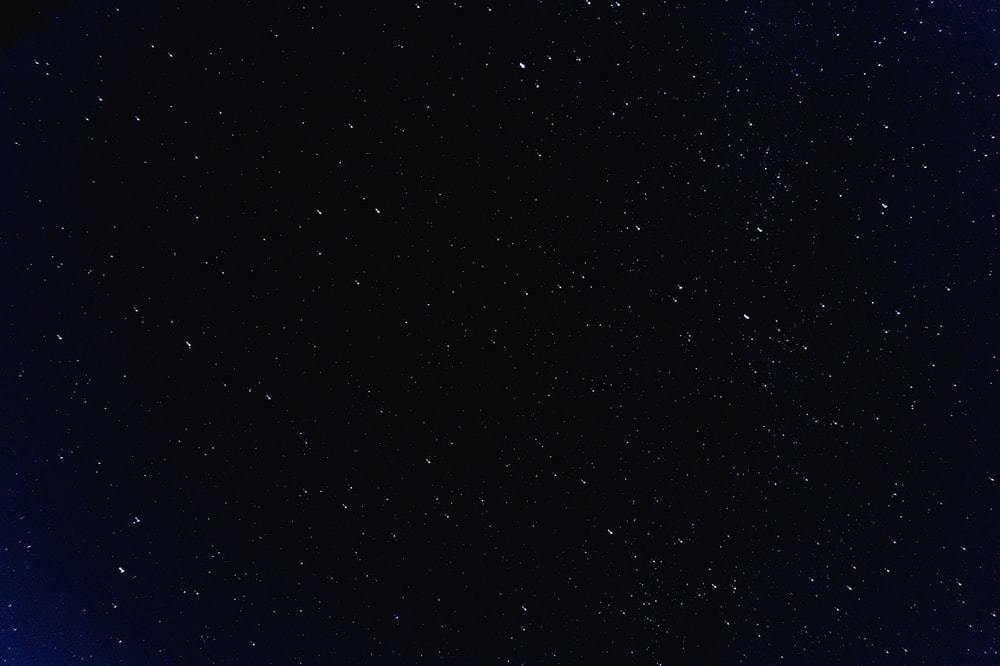 Poxxy profile banner