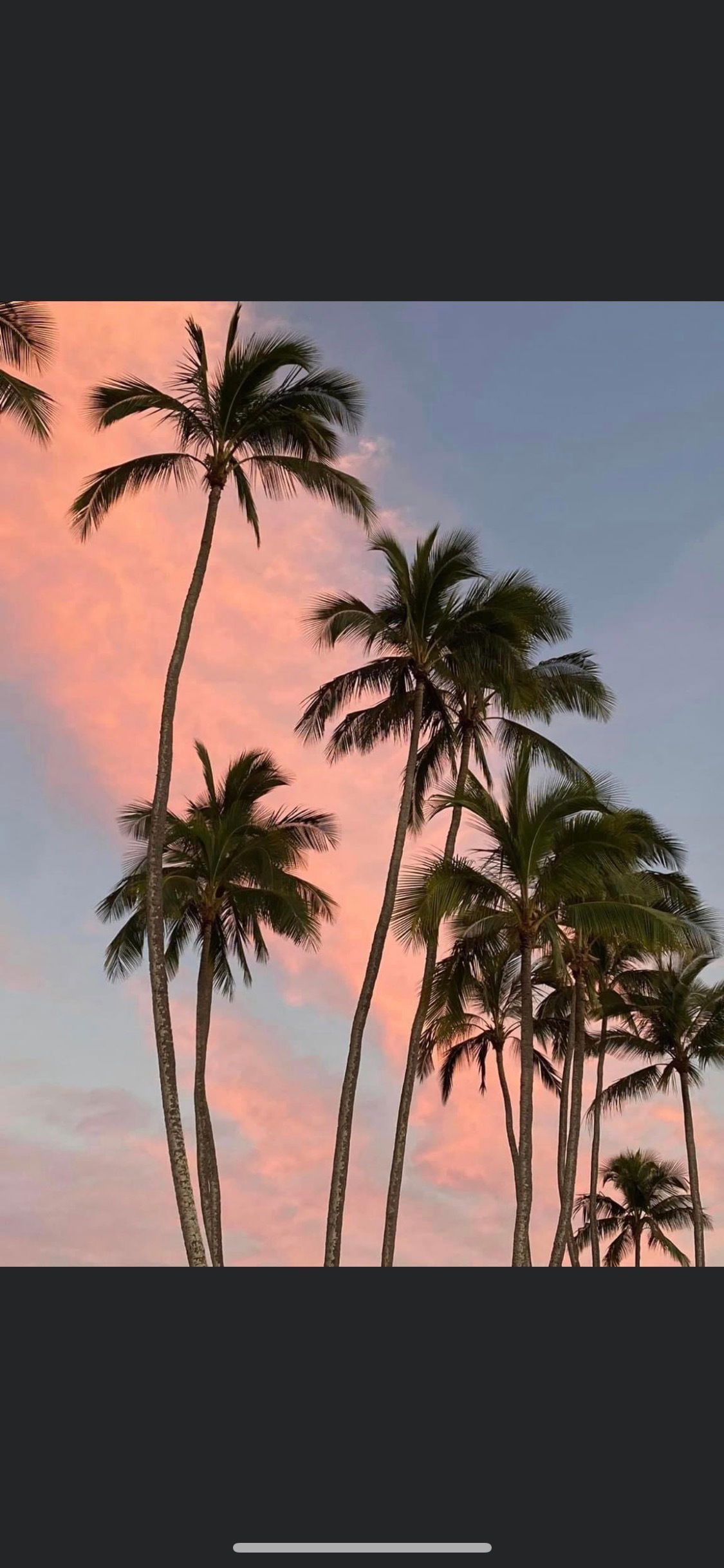 Pretty profile banner