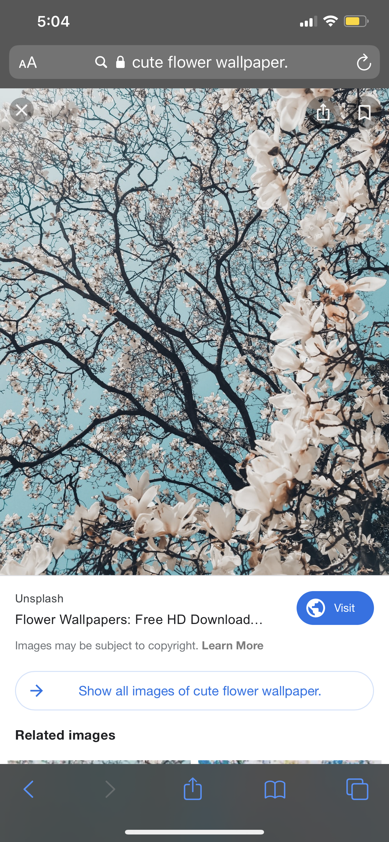 Purp profile banner