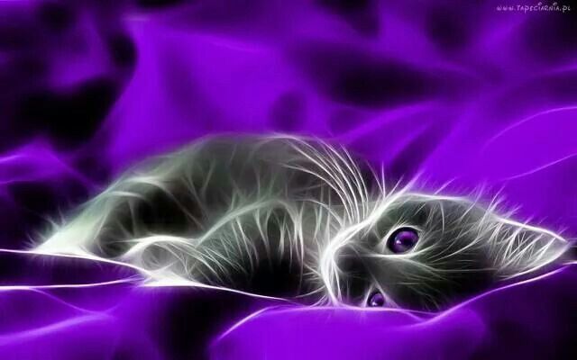 Prettytittykitty profile banner