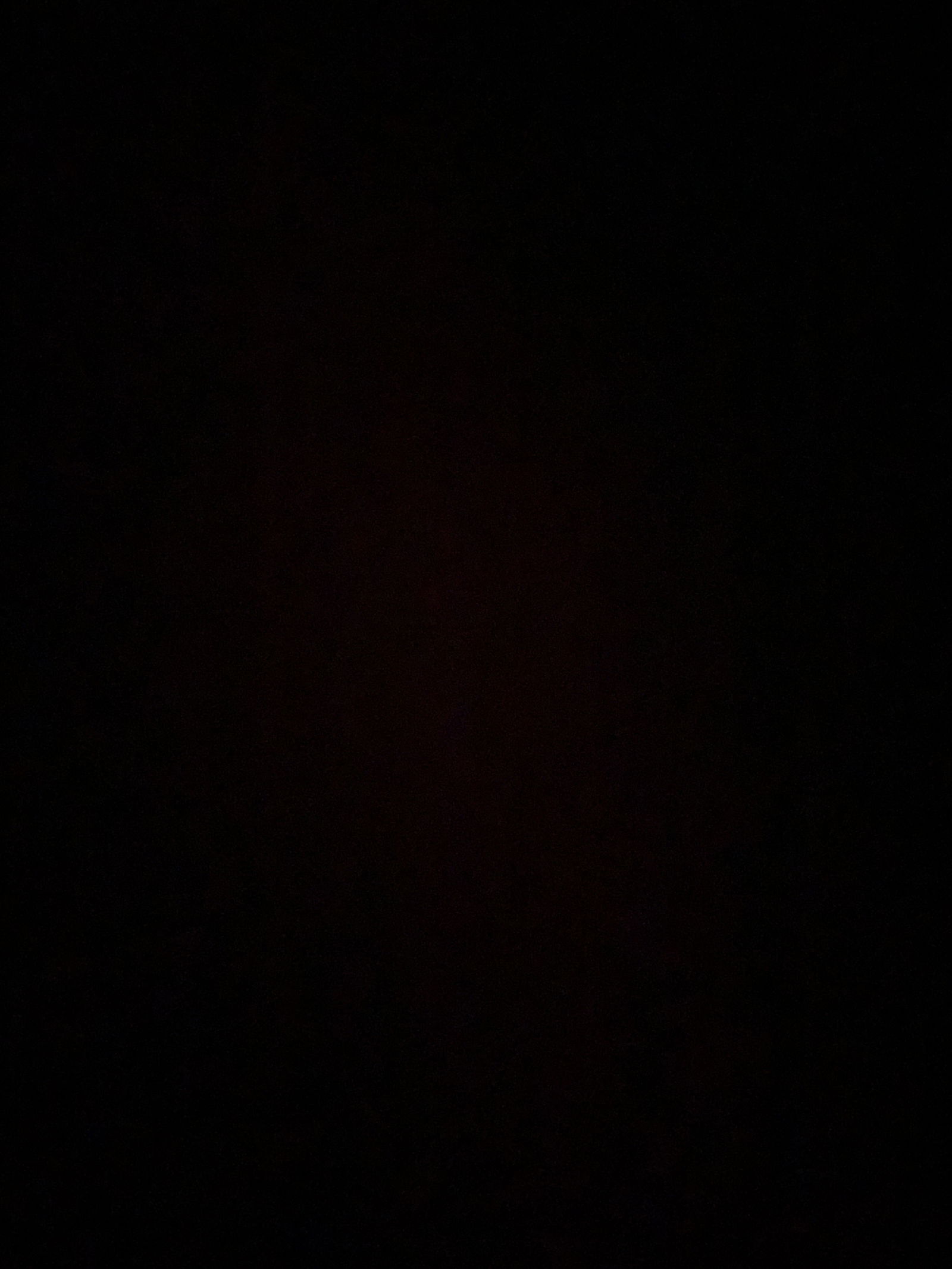 primrosebelle banner