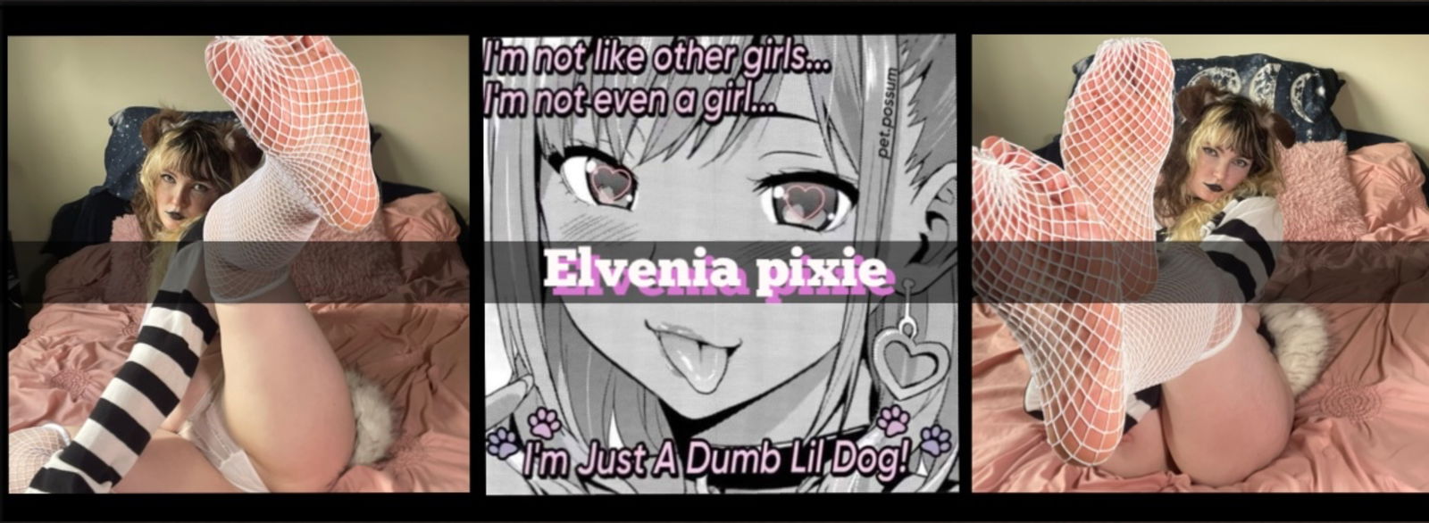 π¬ππππππ π·ππππ profile banner