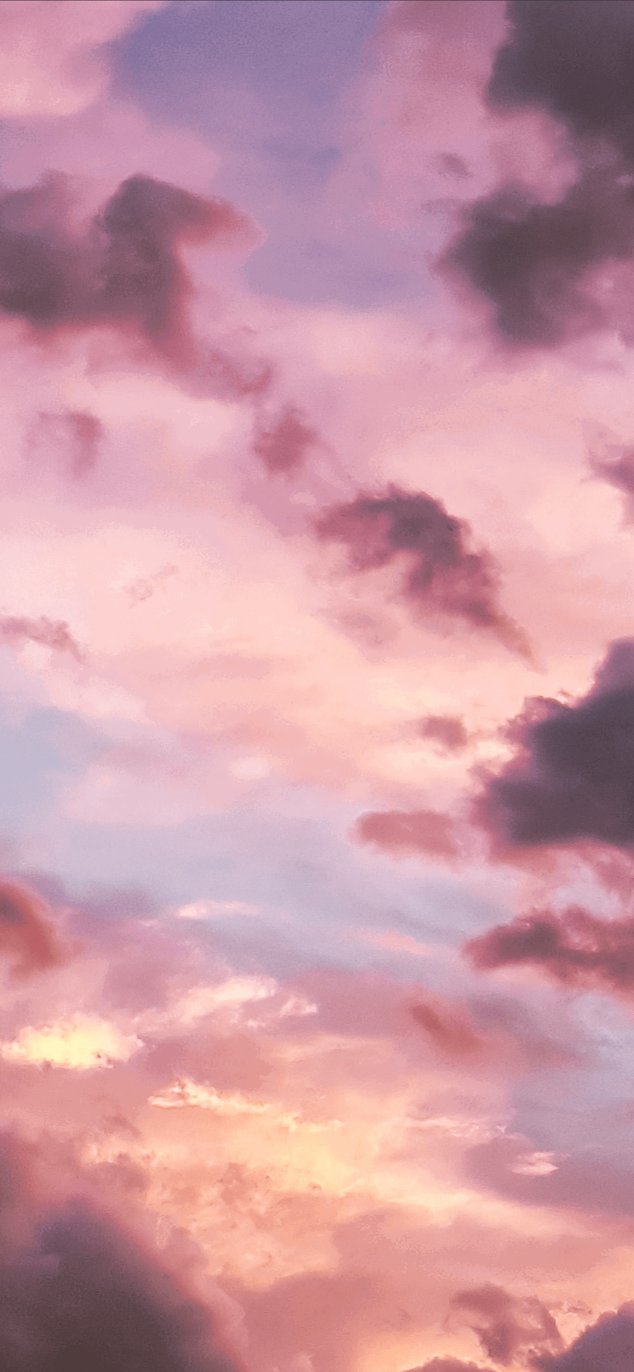 Princess profile banner