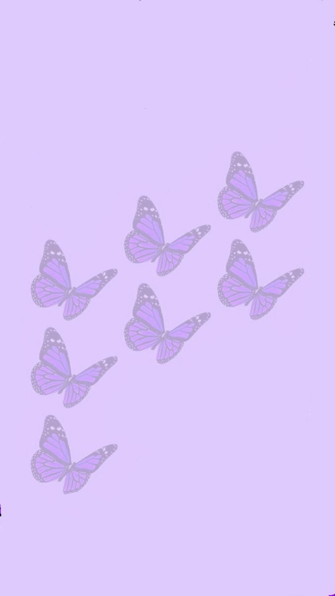 PrincessCho profile banner