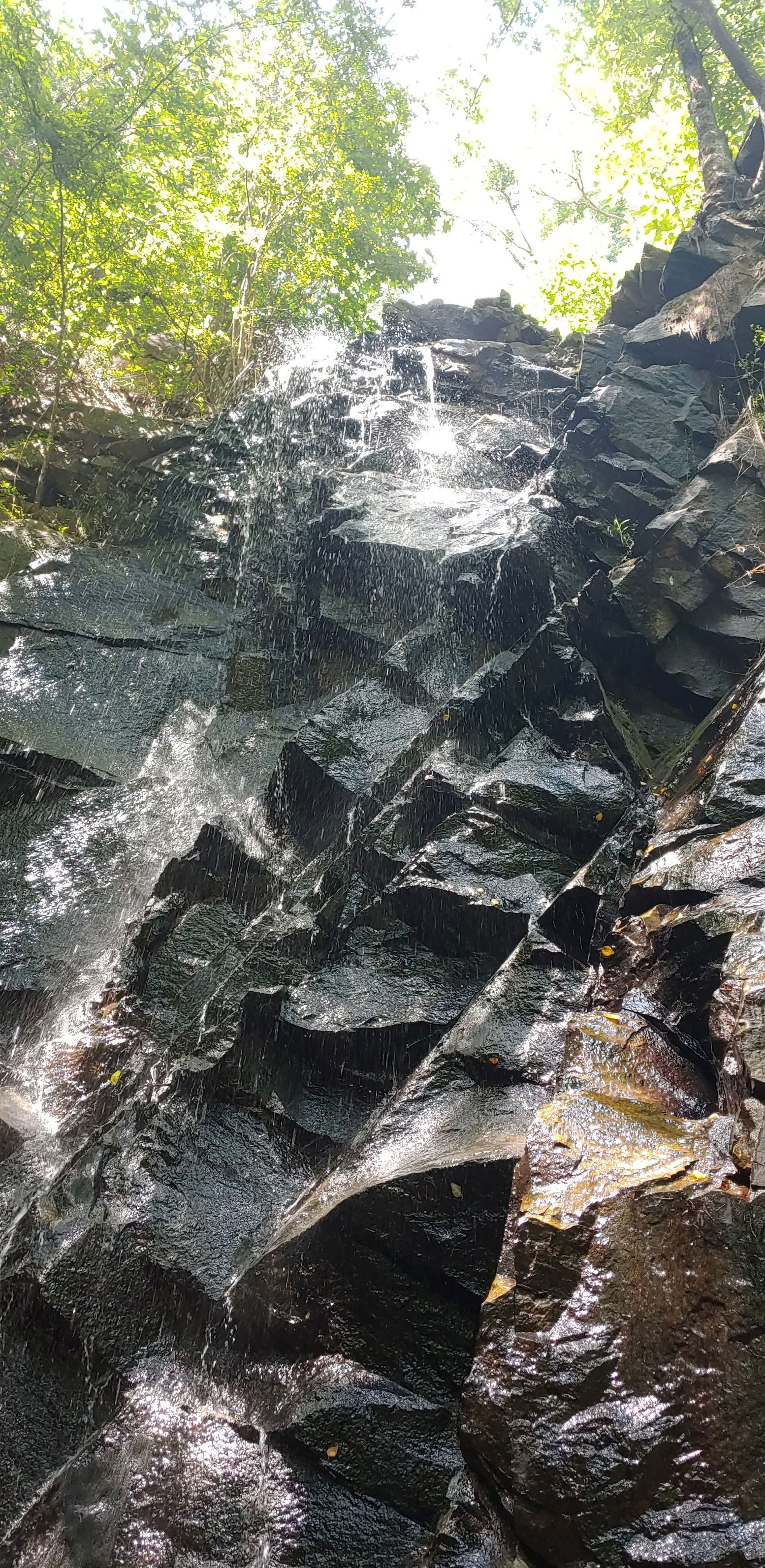 Prince Vegeta profile banner