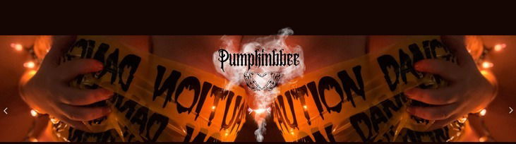 Pumpkinbbee profile banner