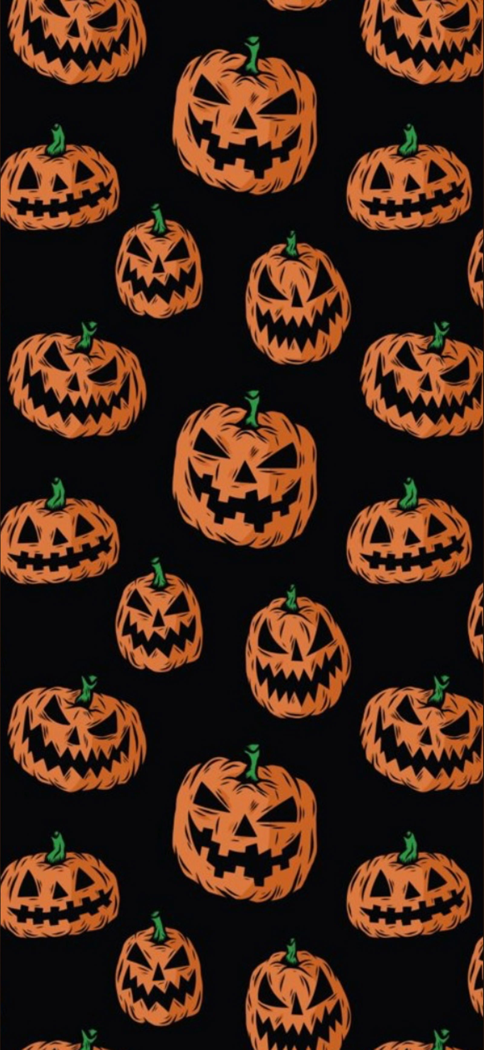 Pumpkinbaby profile banner