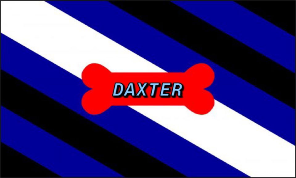 Pup Daxter profile banner