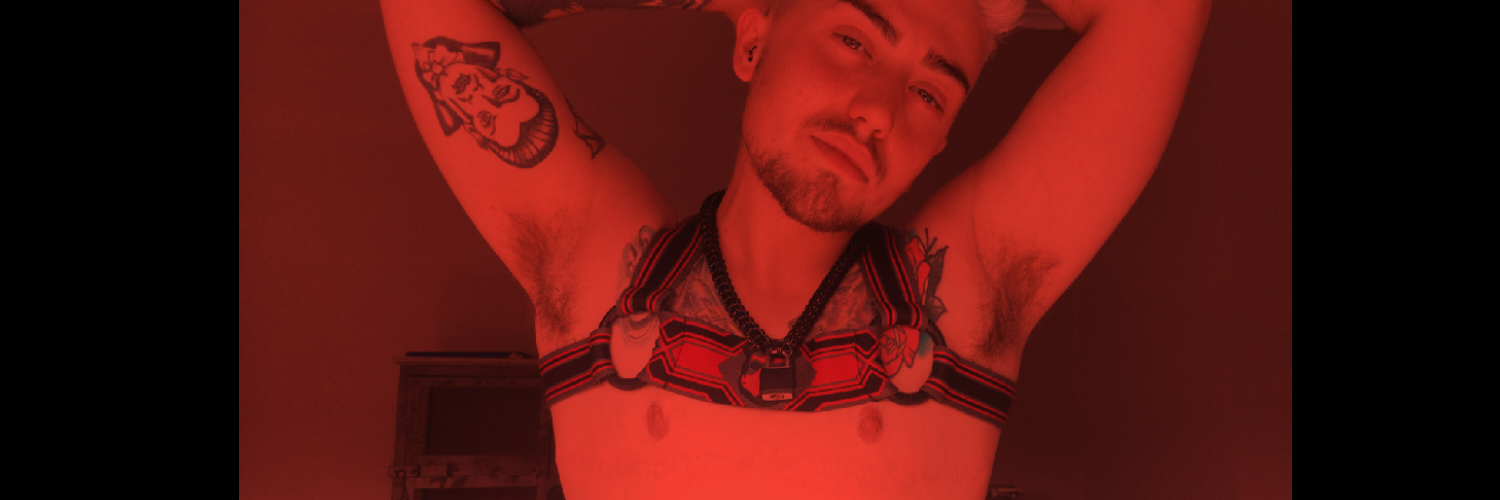 Pup Hyde - Stefan profile banner