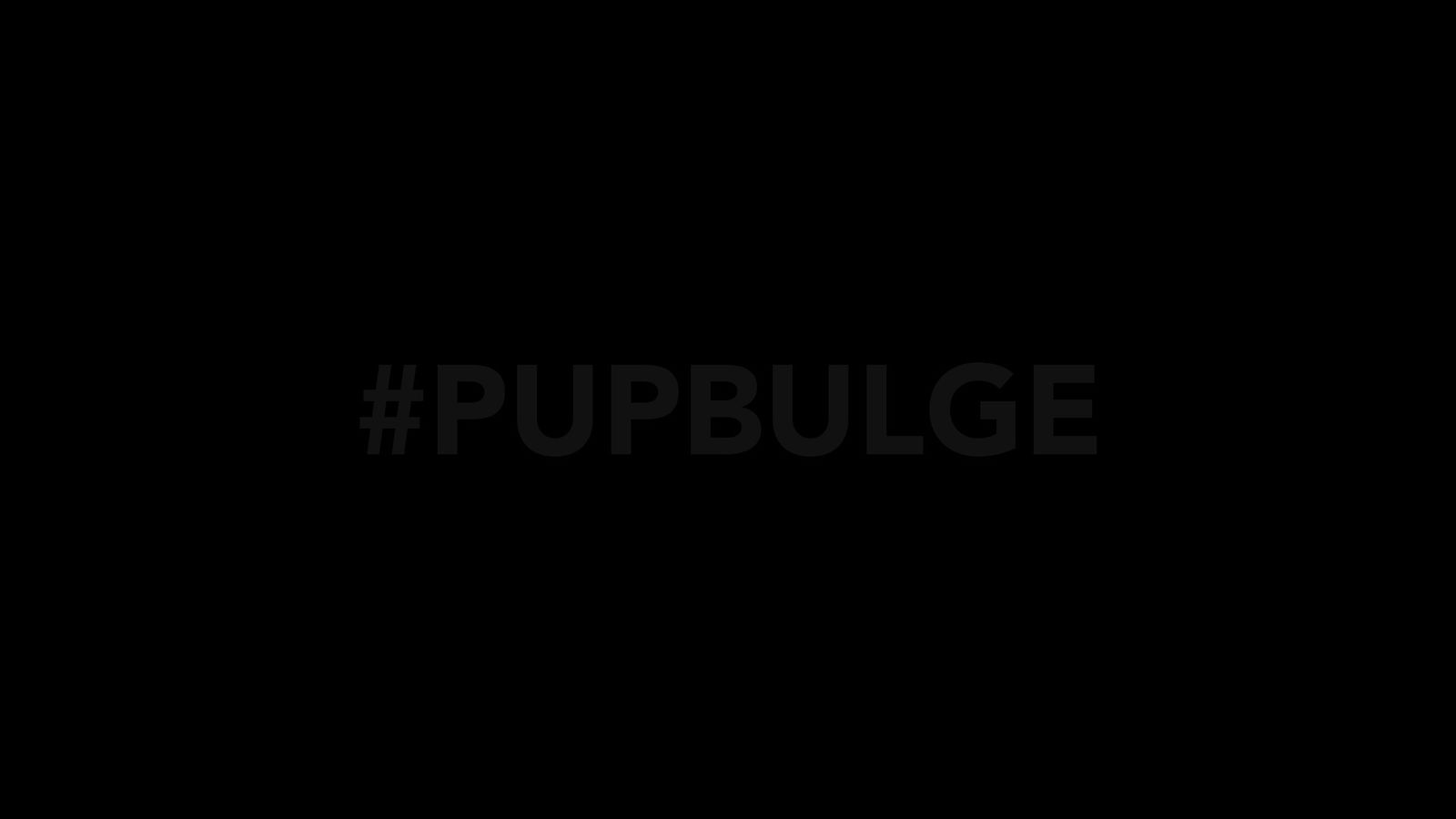 Pup Bulge profile banner