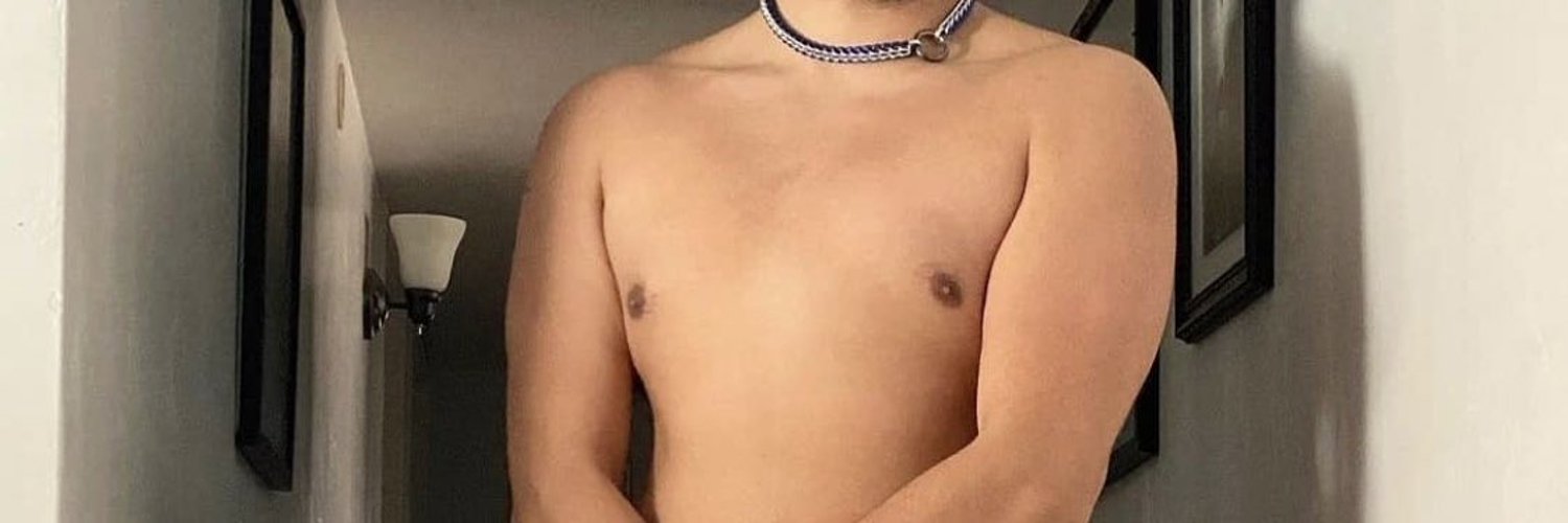 @pupfred profile banner