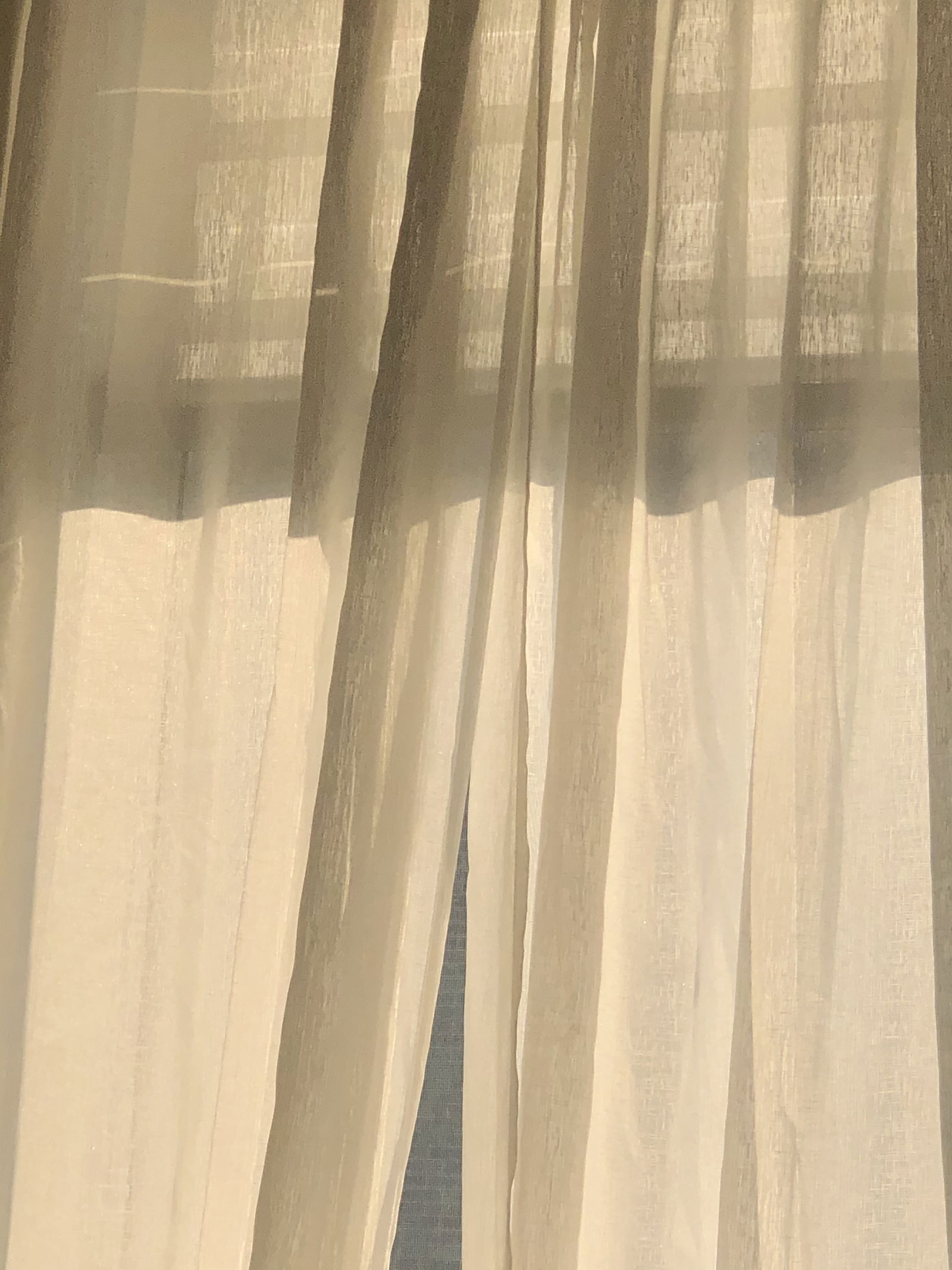 Pupilles profile banner