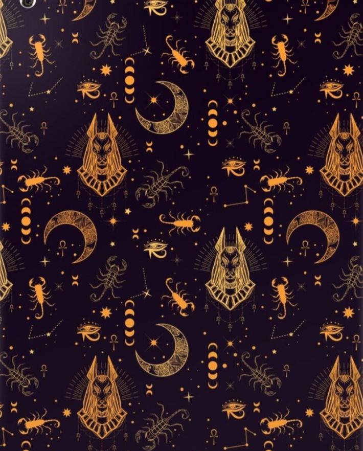 Pup Jackal profile banner