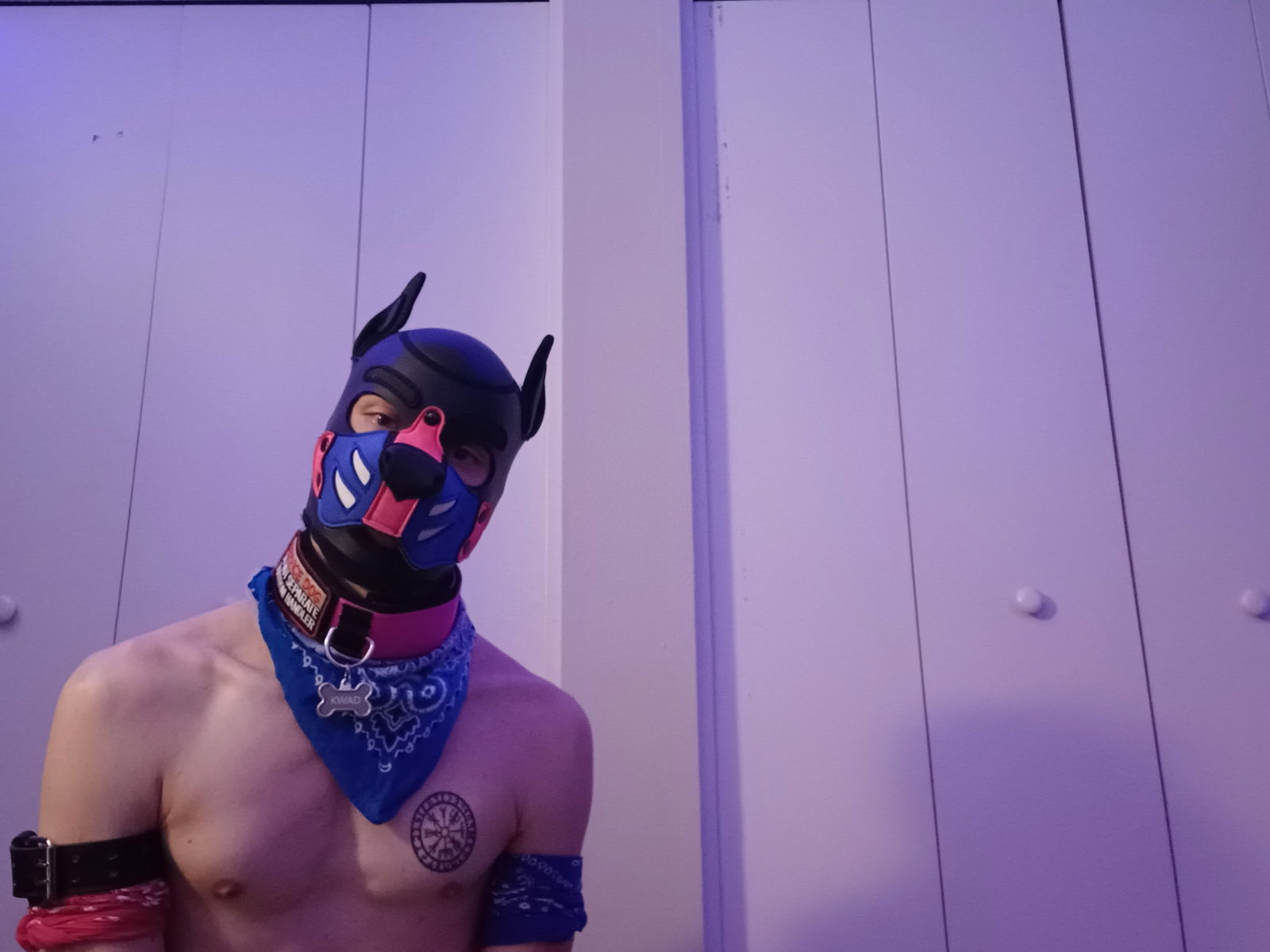 Pup Kwad profile banner