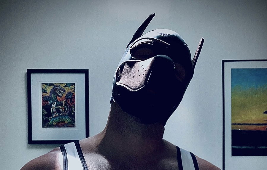 Pup Leo profile banner
