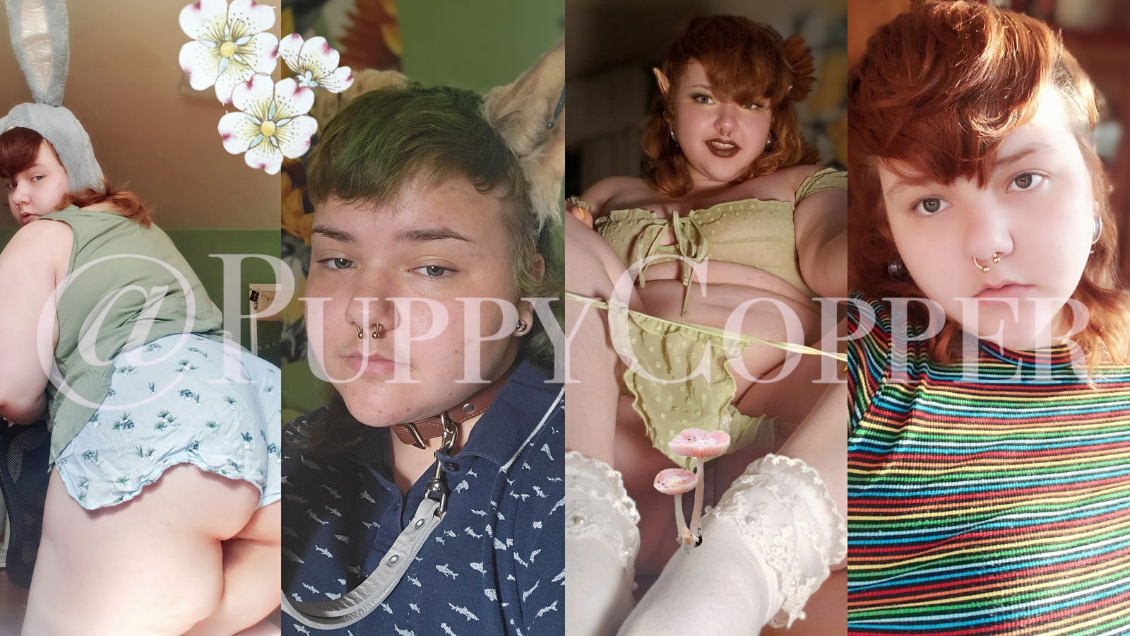 puppycopper banner