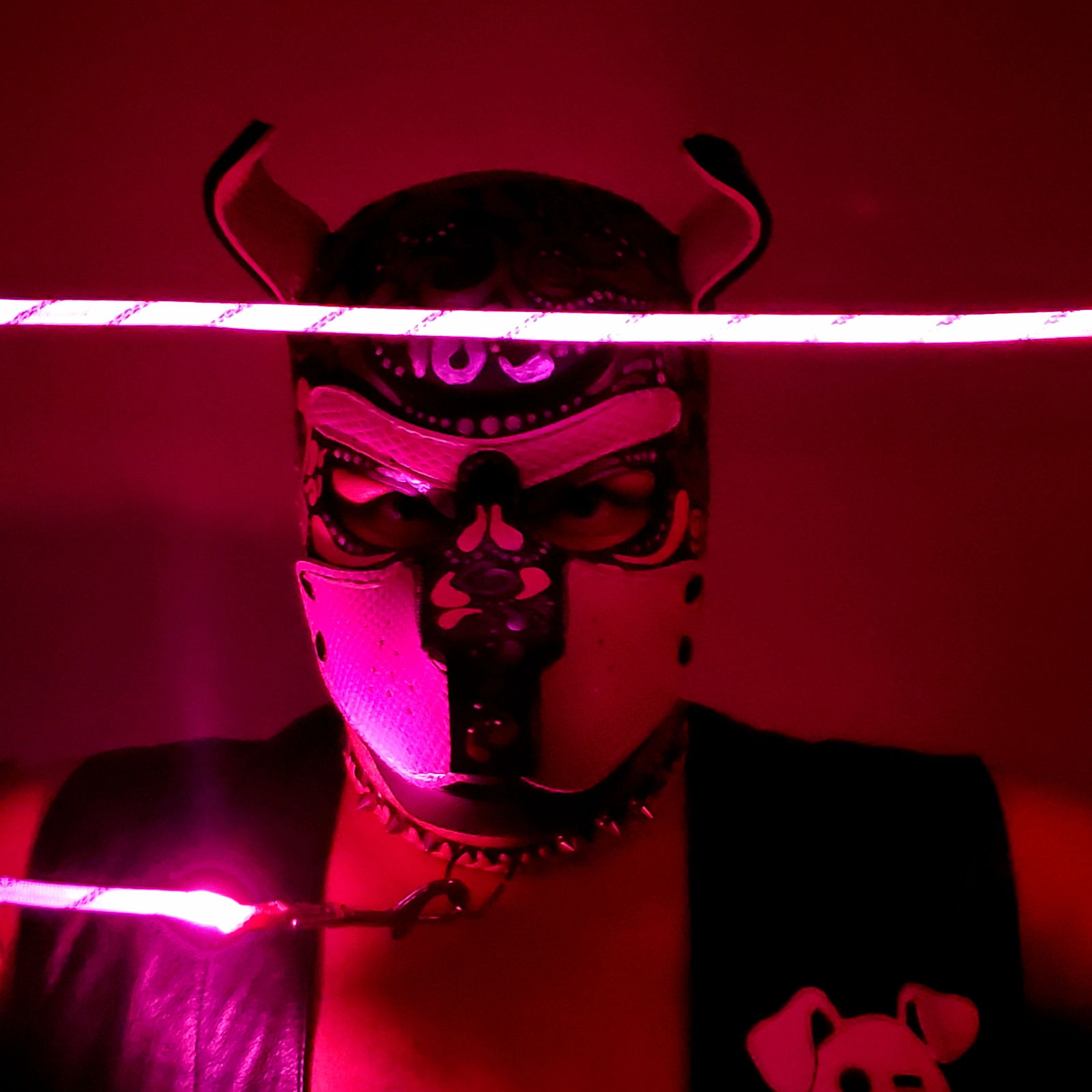 Pup Ramsey profile banner